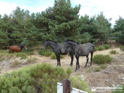 Cabeza de Braña, Mondalindo y Peña Negra - Senderismo por Madrid;viaje semana santa viajes grupos